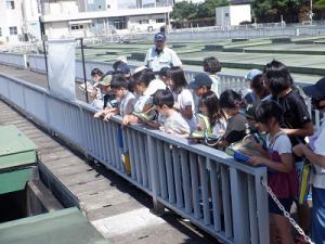 外での見学の様子（２）