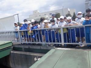 外での見学の様子②