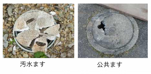 破損したます