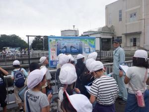 外での見学の様子②