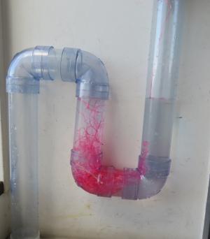 排水管にビニールひもを流す2