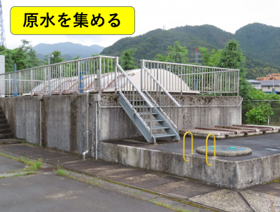 原水を集める