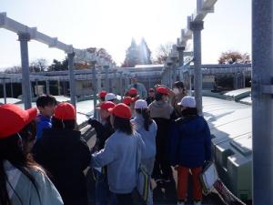 外での見学の様子(1)