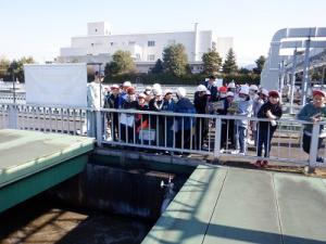 外での見学の様子(2)