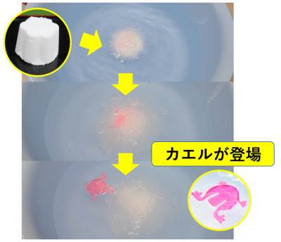 バスボムを水に入れる2