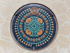 カラーのベニバナマンホール