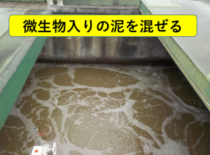 微生物入りの泥を混ぜる