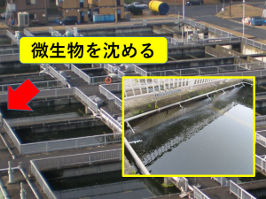 微生物を沈める