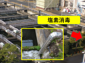 塩素消毒をする