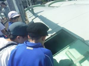 屋外での見学の様子