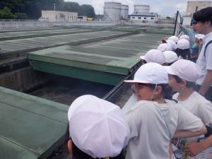 屋外での見学の様子
