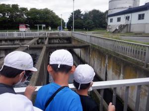 屋外での見学の様子